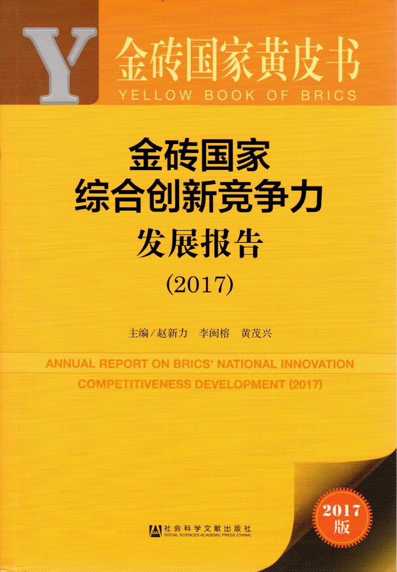 一起肏逼黄色网站金砖国家综合创新竞争力发展报告（2017）